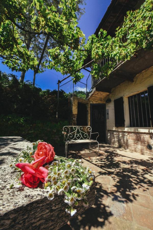 Ferienwohnung Cascina Flino Diano dʼAlba Exterior foto